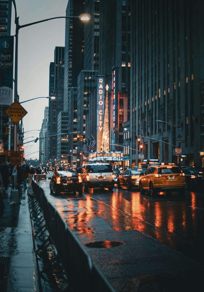 pexels-josh-hild-1270765-2422588 (1)